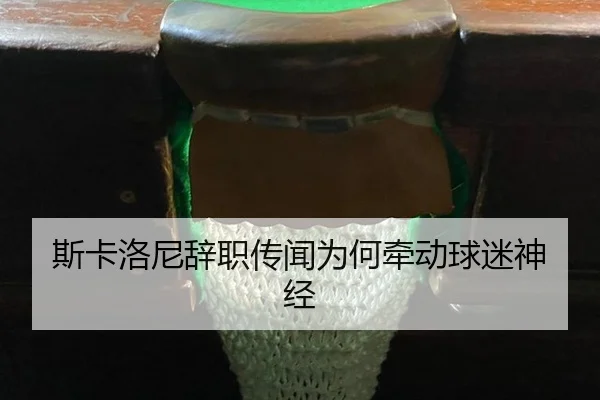 斯卡洛尼辞职传闻为何牵动球迷神经 - xingkong